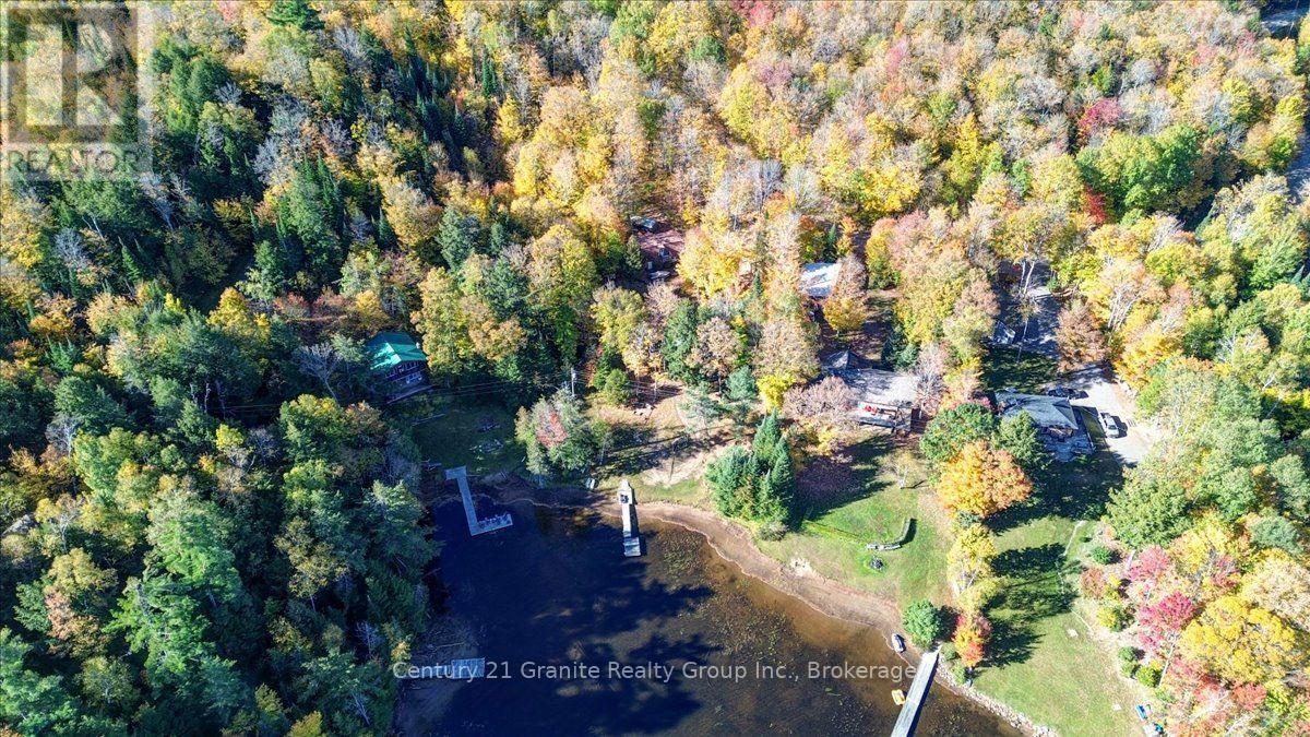 354 Forestview Road N, Hastings Highlands (Herschel Ward), Ontario  K0L 1C0 - Photo 37 - X13880418
