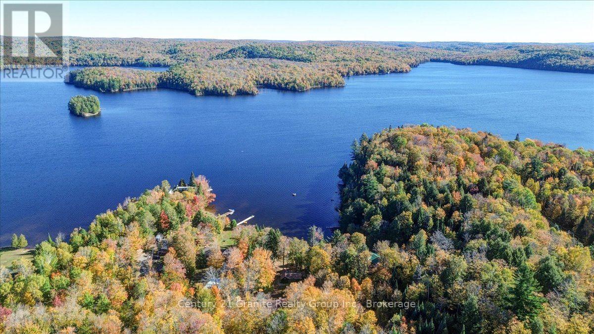 354 Forestview Road N, Hastings Highlands (Herschel Ward), Ontario  K0L 1C0 - Photo 38 - X13880418