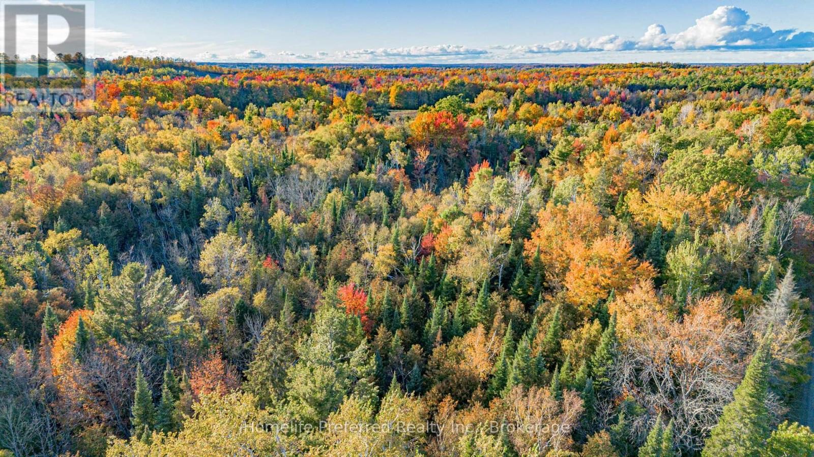 00 County Road 42 Road, Asphodel-Norwood, Ontario  K0L 1Z0 - Photo 17 - X13883150