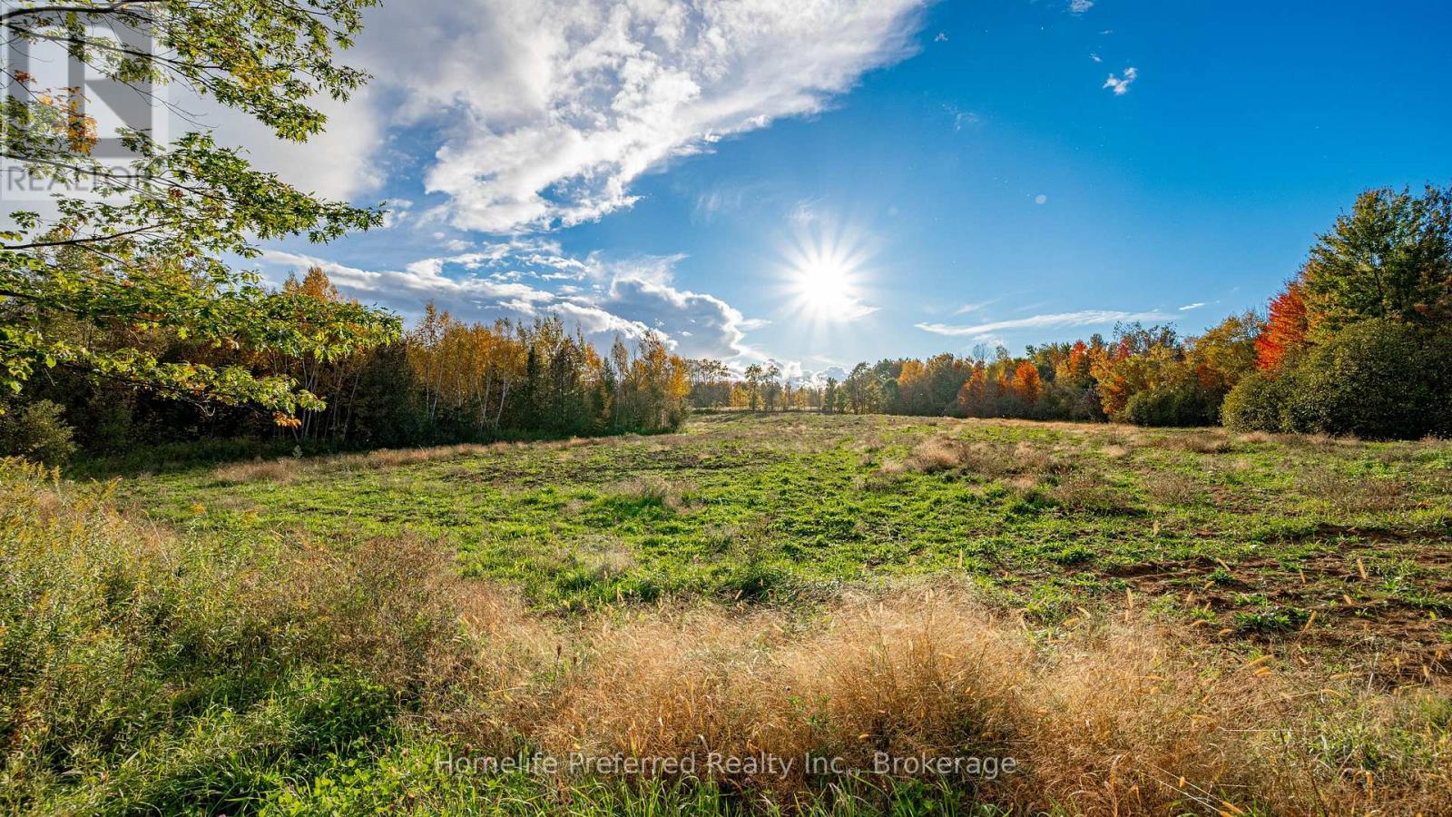 00 County Road 42 Road, Asphodel-Norwood, Ontario  K0L 1Z0 - Photo 2 - X13883150