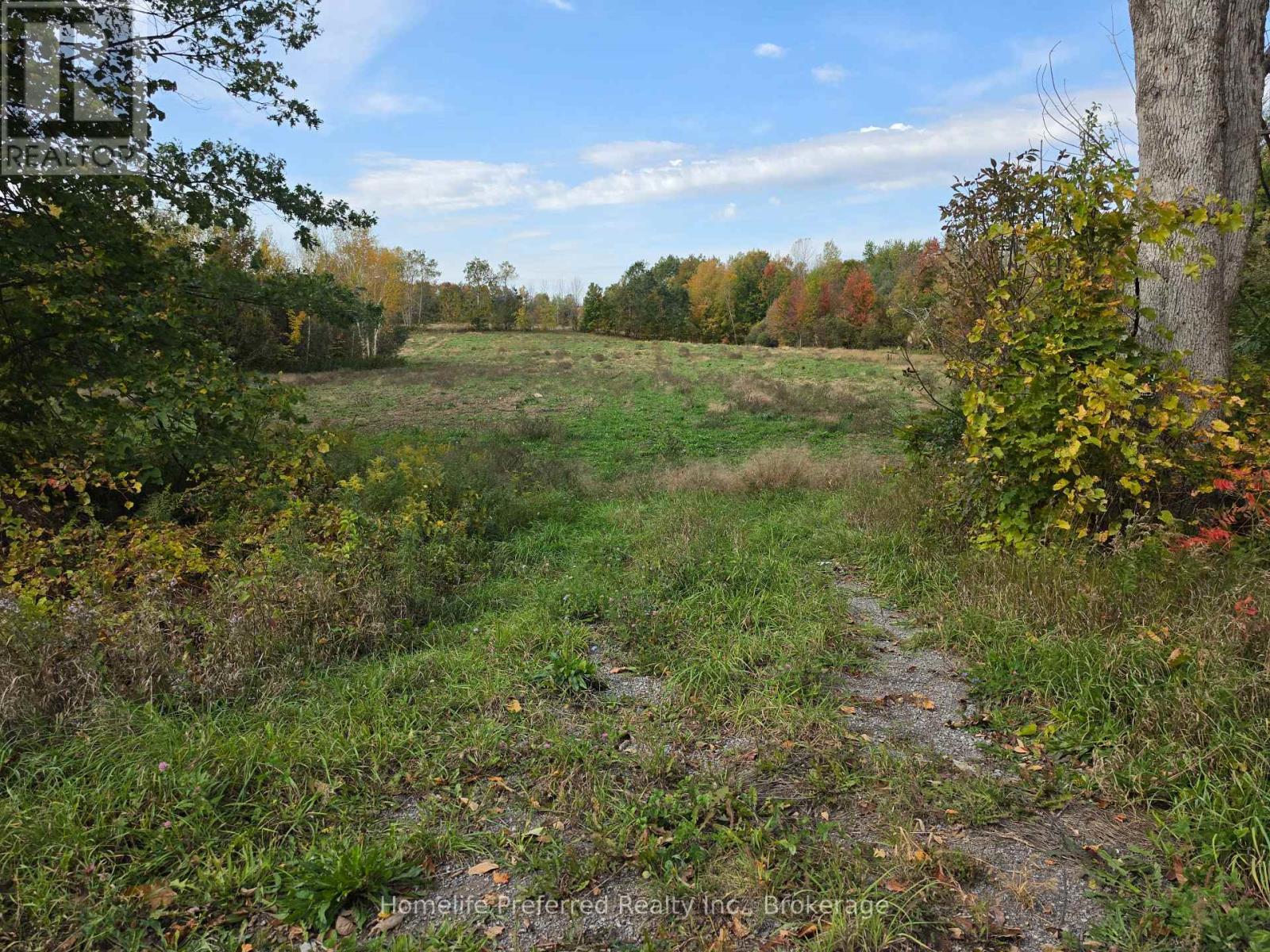00 County Road 42 Road, Asphodel-Norwood, Ontario  K0L 1Z0 - Photo 4 - X13883150