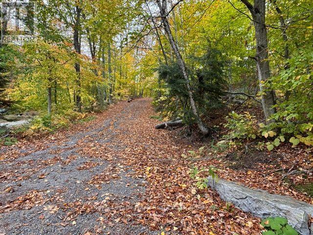 231 West Diamond Lake Road, Hastings Highlands (Herschel Ward), Ontario  K0L 1C0 - Photo 30 - X13884428
