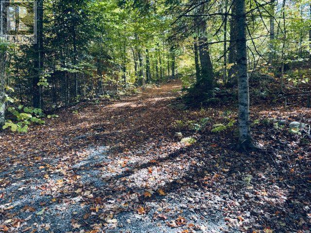245 West Diamond Lake Road, Hastings Highlands (Herschel Ward), Ontario  K0L 1C0 - Photo 26 - X13884446