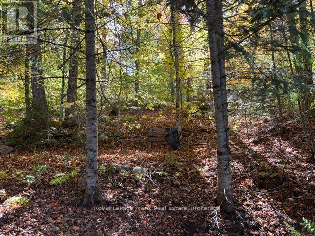 245 West Diamond Lake Road, Hastings Highlands (Herschel Ward), Ontario  K0L 1C0 - Photo 27 - X13884446