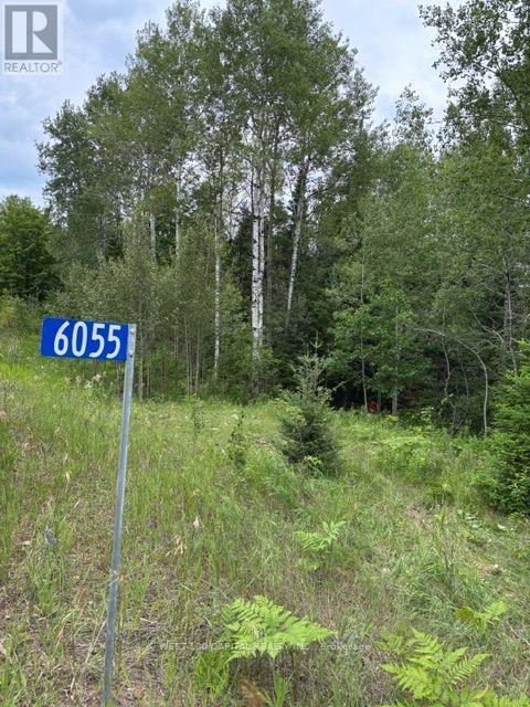 6055 Hwy 620, Wollaston, Ontario  K0L 1P0 - Photo 7 - X14027436
