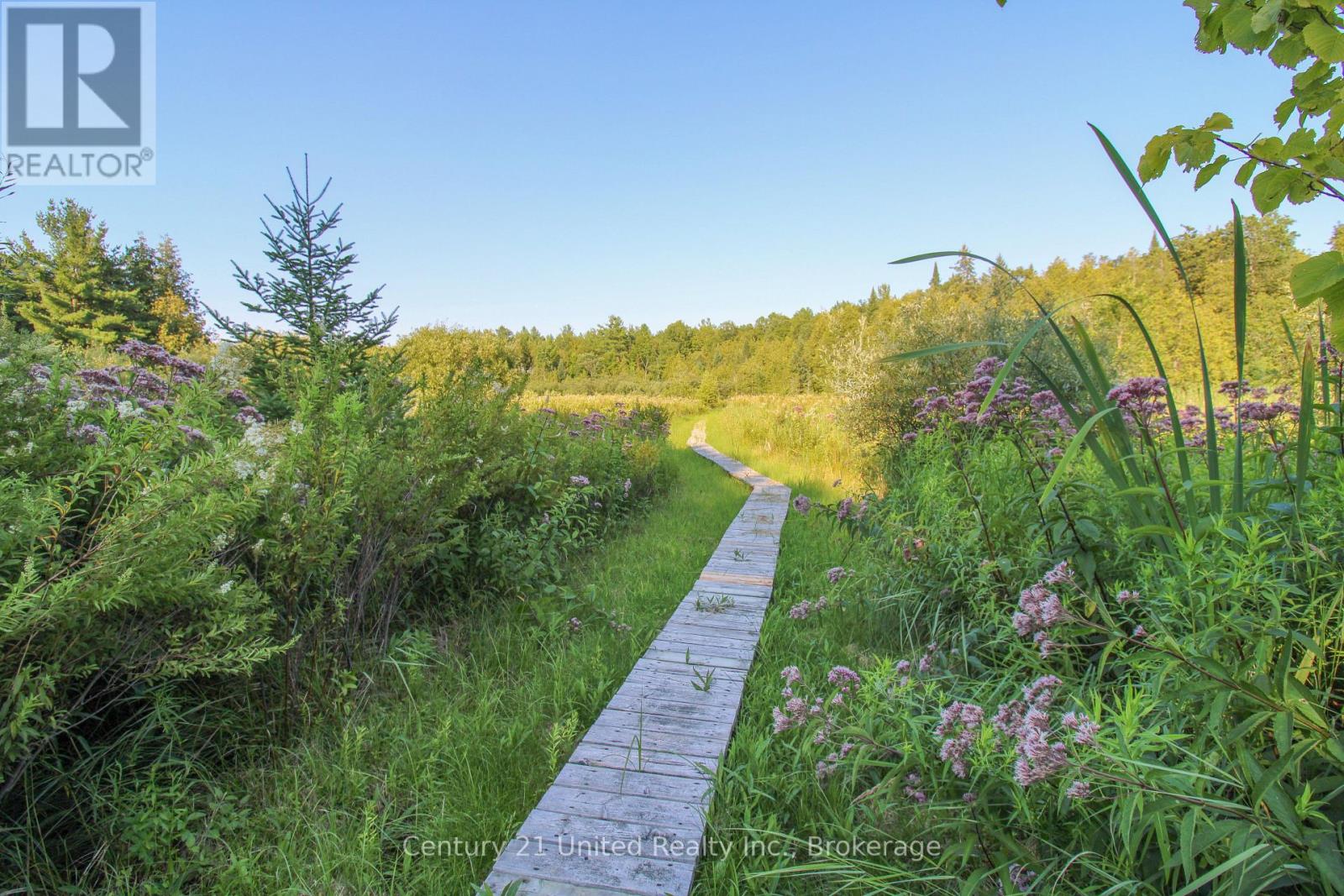 395 Sawmill Road, Douro-Dummer, Ontario  K0L 2H0 - Photo 12 - X14080140