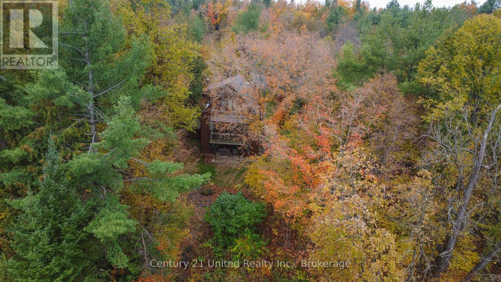 395 Sawmill Road, Douro-Dummer, Ontario  K0L 2H0 - Photo 17 - X14080140