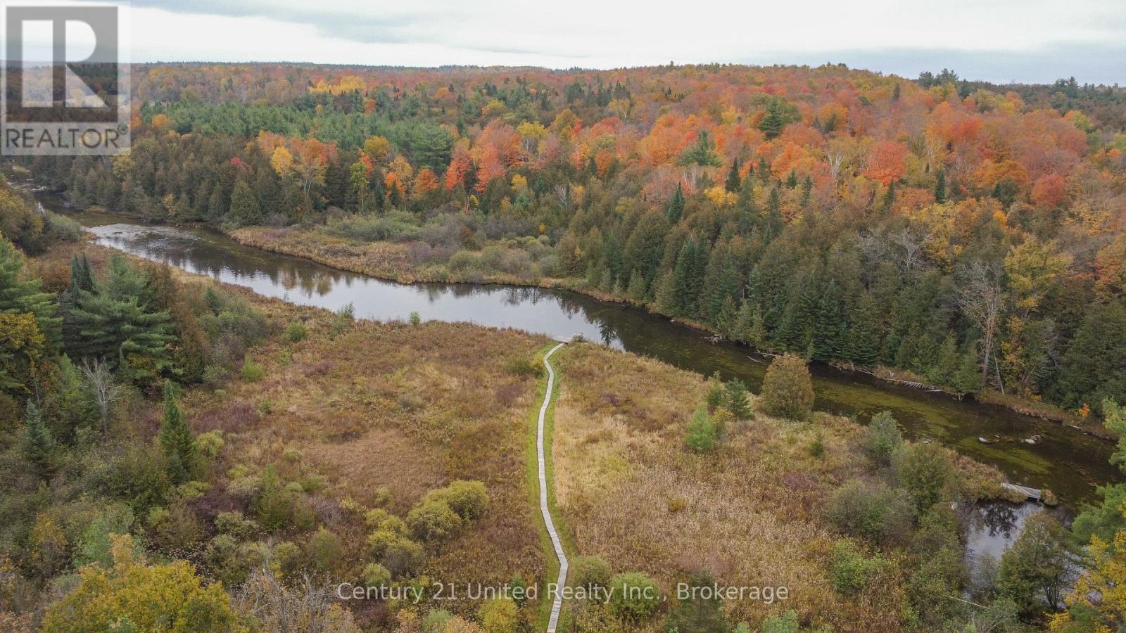 395 Sawmill Road, Douro-Dummer, Ontario  K0L 2H0 - Photo 8 - X14080140