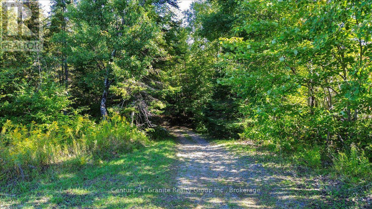 22934 62 Highway S, Limerick, Ontario  K0L 1W0 - Photo 20 - X14080944