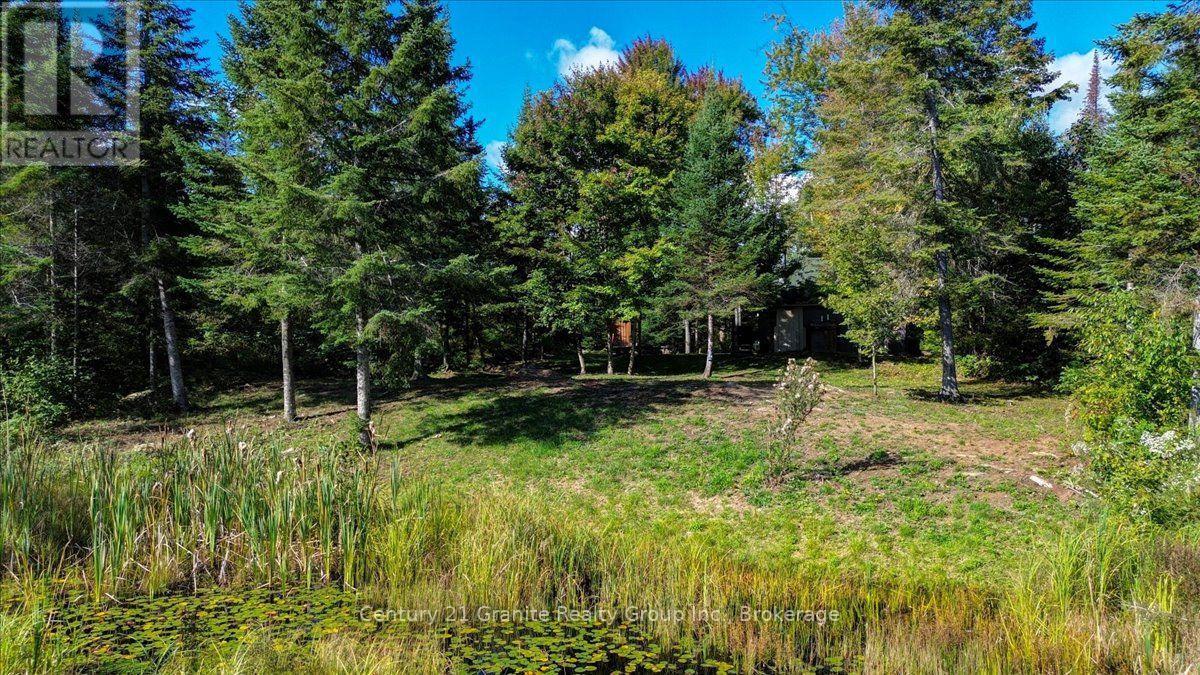 22934 62 Highway S, Limerick, Ontario  K0L 1W0 - Photo 33 - X14080944