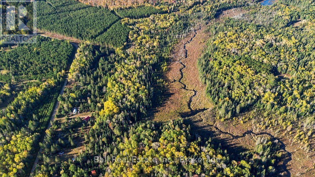 775 Cameron Road, Faraday, Ontario  K0L 1P0 - Photo 33 - X14081946