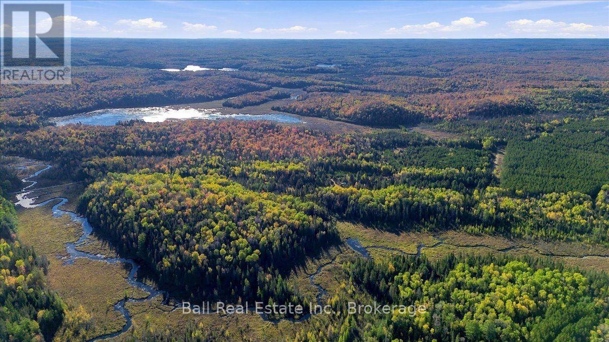 775 Cameron Road, Faraday, Ontario  K0L 1P0 - Photo 34 - X14081946