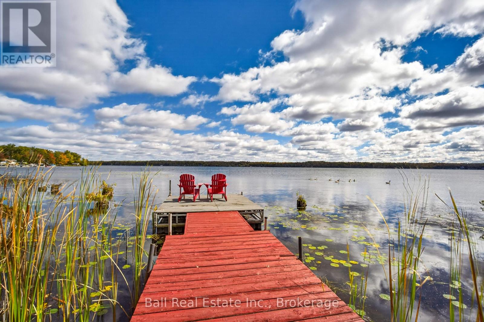 18 Fire Route 26b, Trent Lakes, Ontario  K0L 1J0 - Photo 44 - X14081978