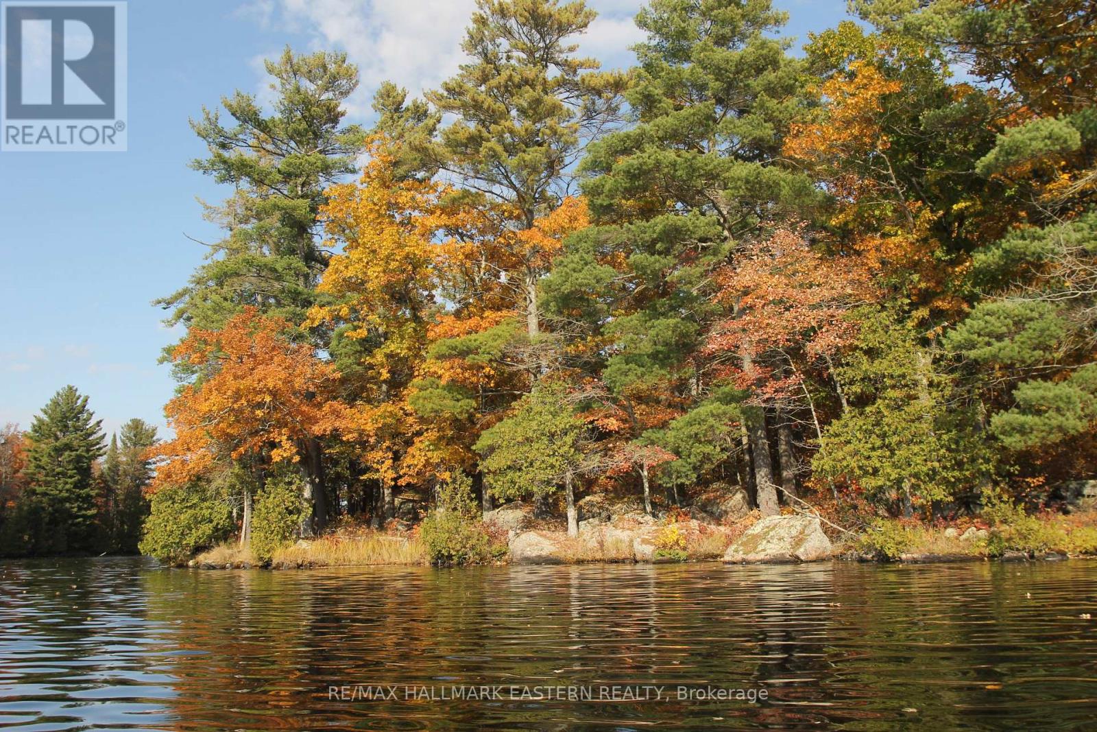 Lot 1 - C280 Lower Buckhorn Lake, Trent Lakes, Ontario  K0L 1J0 - Photo 4 - X14087562