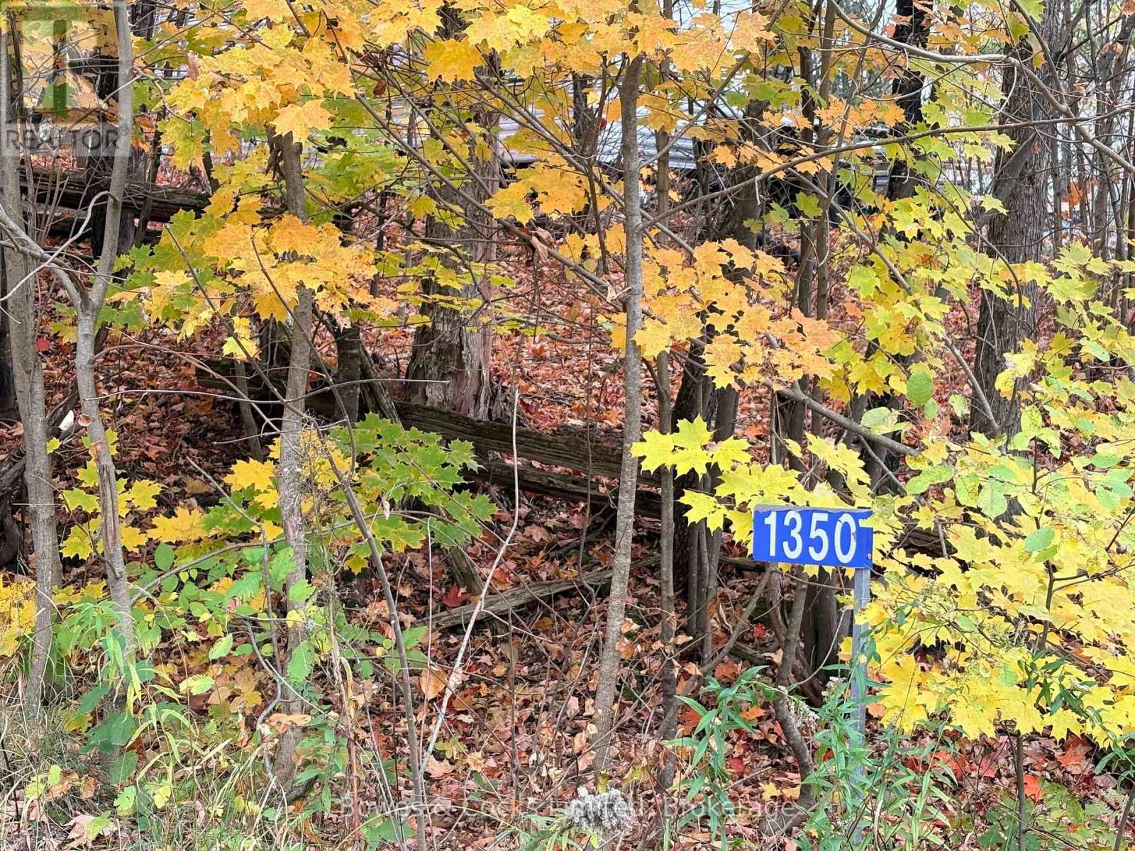 1350 Madill Road, Highlands East (Monmouth), Ontario  K0L 2Y0 - Photo 2 - X14089104