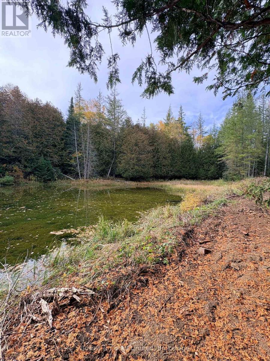 1350 Madill Road, Highlands East (Monmouth), Ontario  K0L 2Y0 - Photo 22 - X14089104