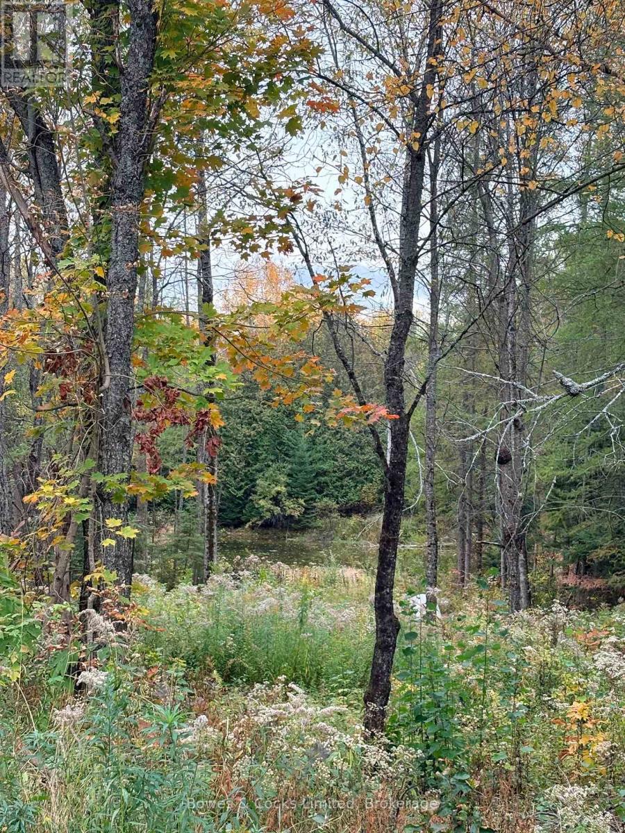 1350 Madill Road, Highlands East (Monmouth), Ontario  K0L 2Y0 - Photo 6 - X14089104
