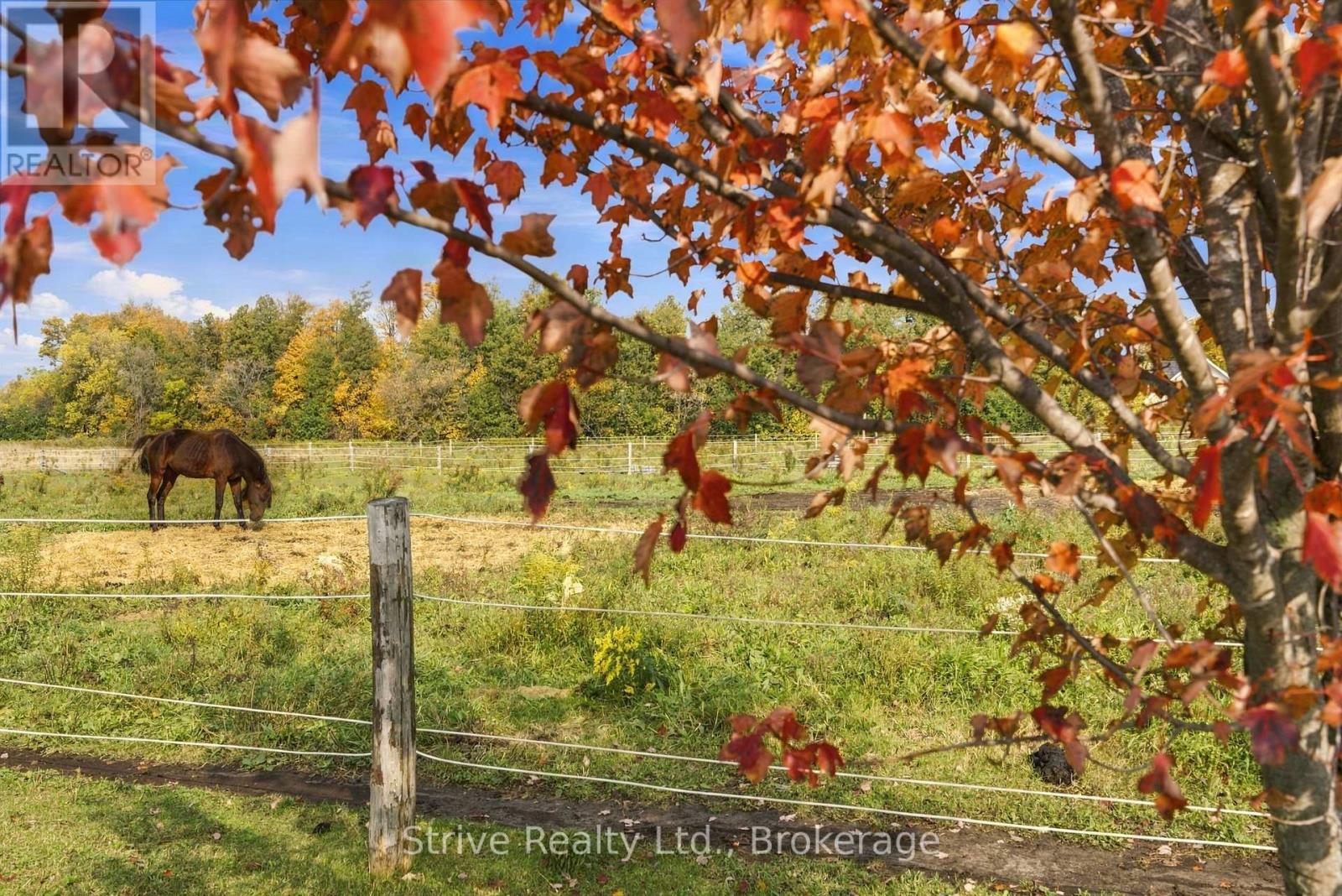 239 Fallis Line, Cavan Monaghan (Cavan Twp), Ontario  L0A 1G0 - Photo 38 - X14089230