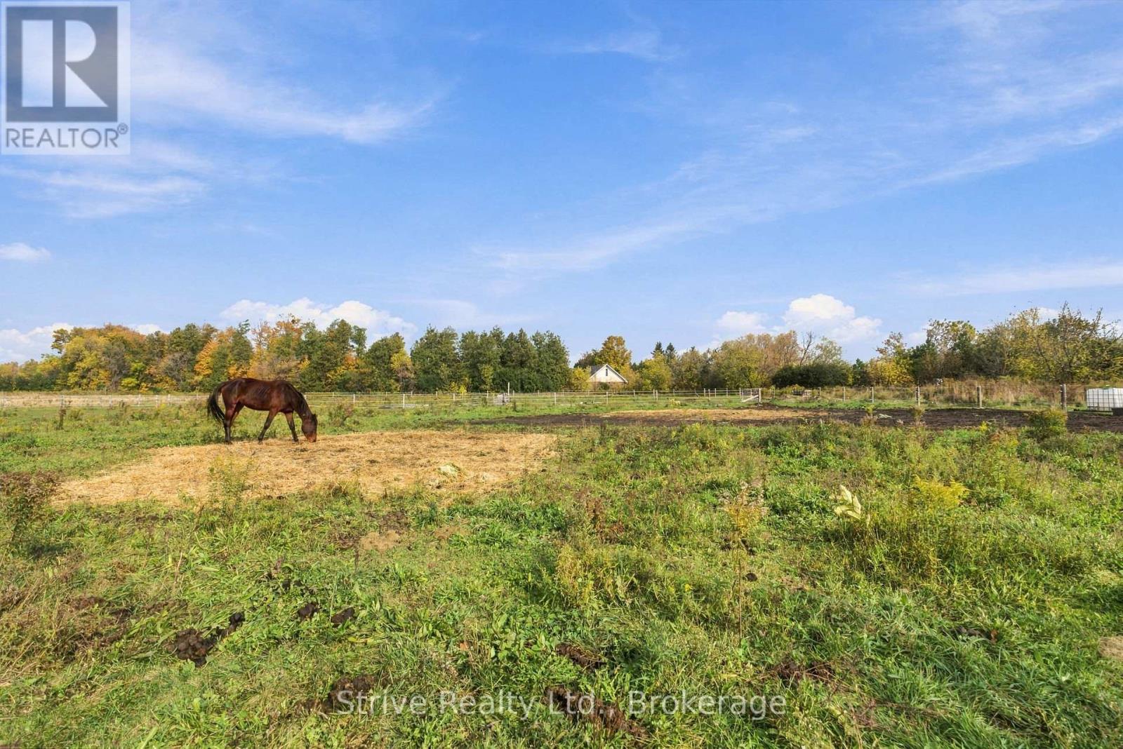 239 Fallis Line, Cavan Monaghan (Cavan Twp), Ontario  L0A 1G0 - Photo 41 - X14089230