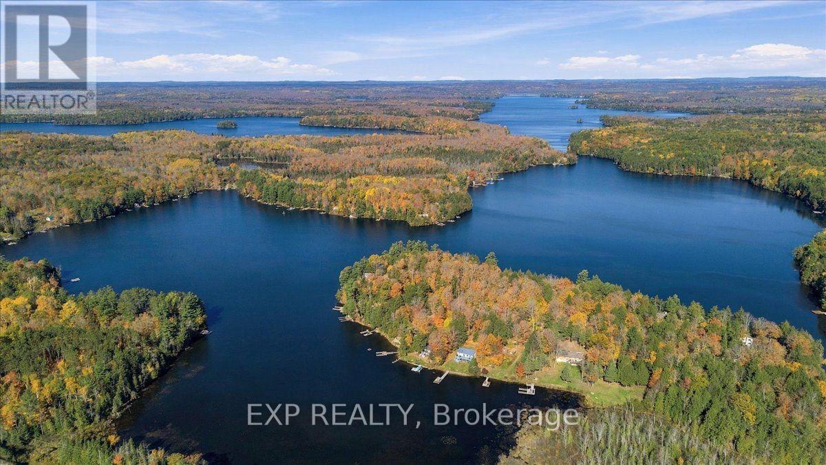 56 Gilmour Point Road, North Kawartha, Ontario  K0L 1A0 - Photo 38 - X14089380
