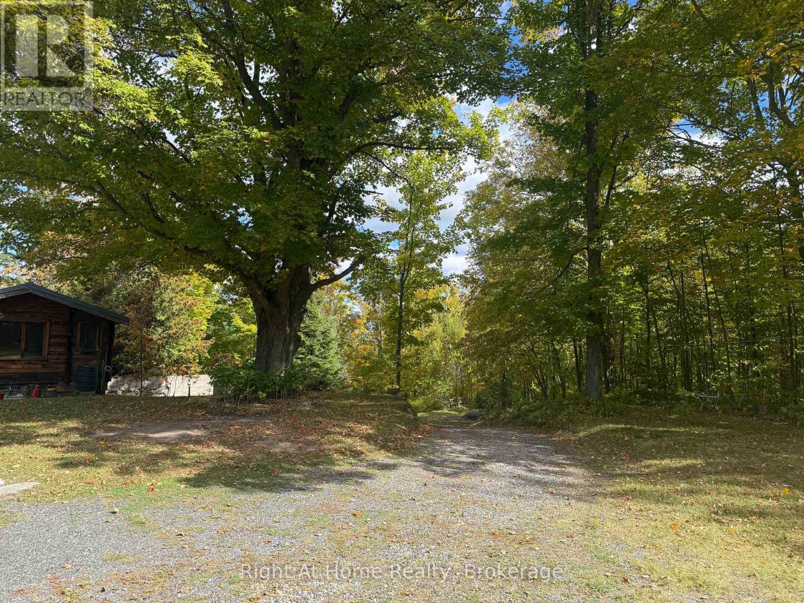 570 Meadowview Road, Kawartha Lakes (Emily), Ontario  K0L 2W0 - Photo 5 - X14092034
