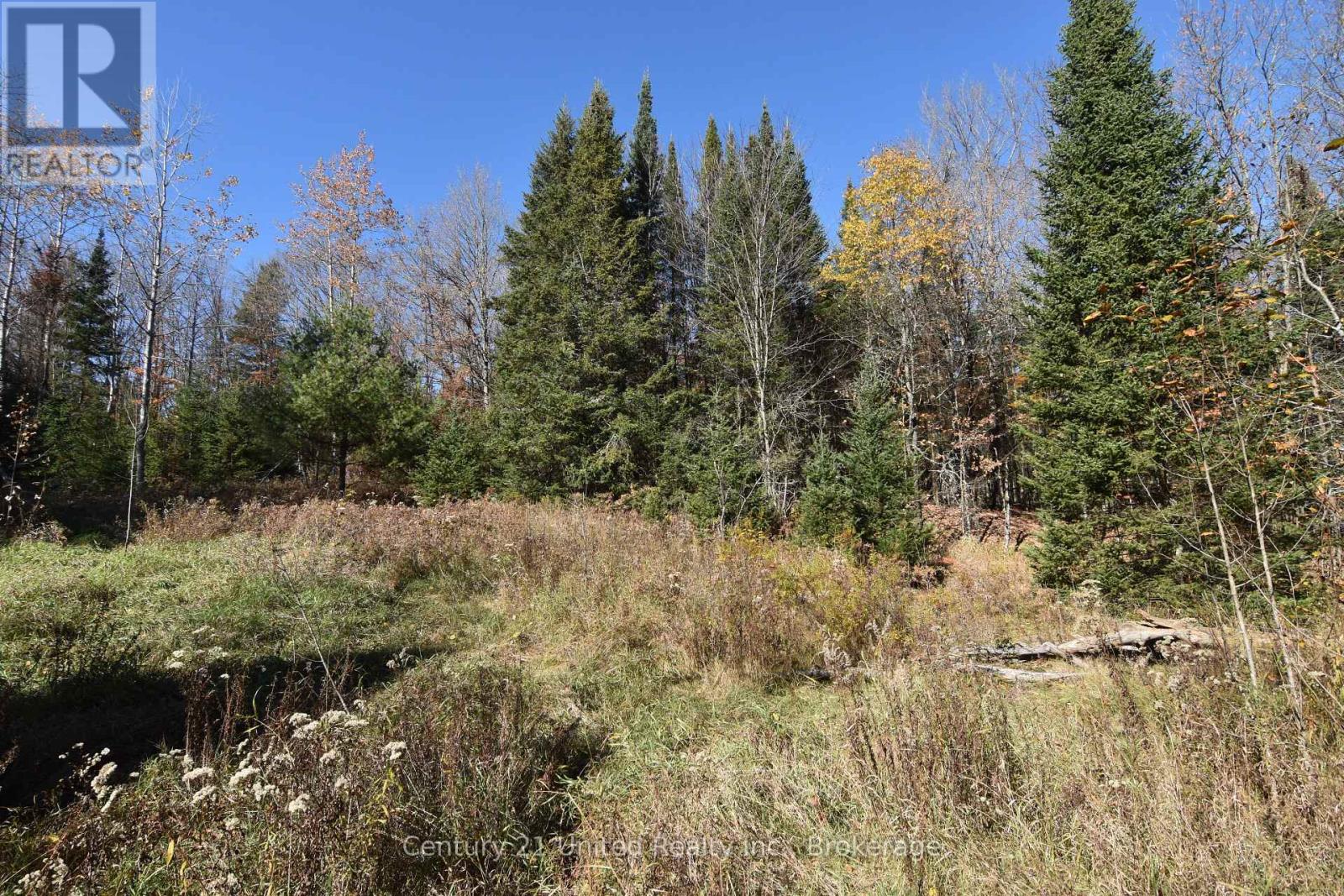 0 Highway 620, Wollaston, Ontario  K0L 1A0 - Photo 4 - X14099810
