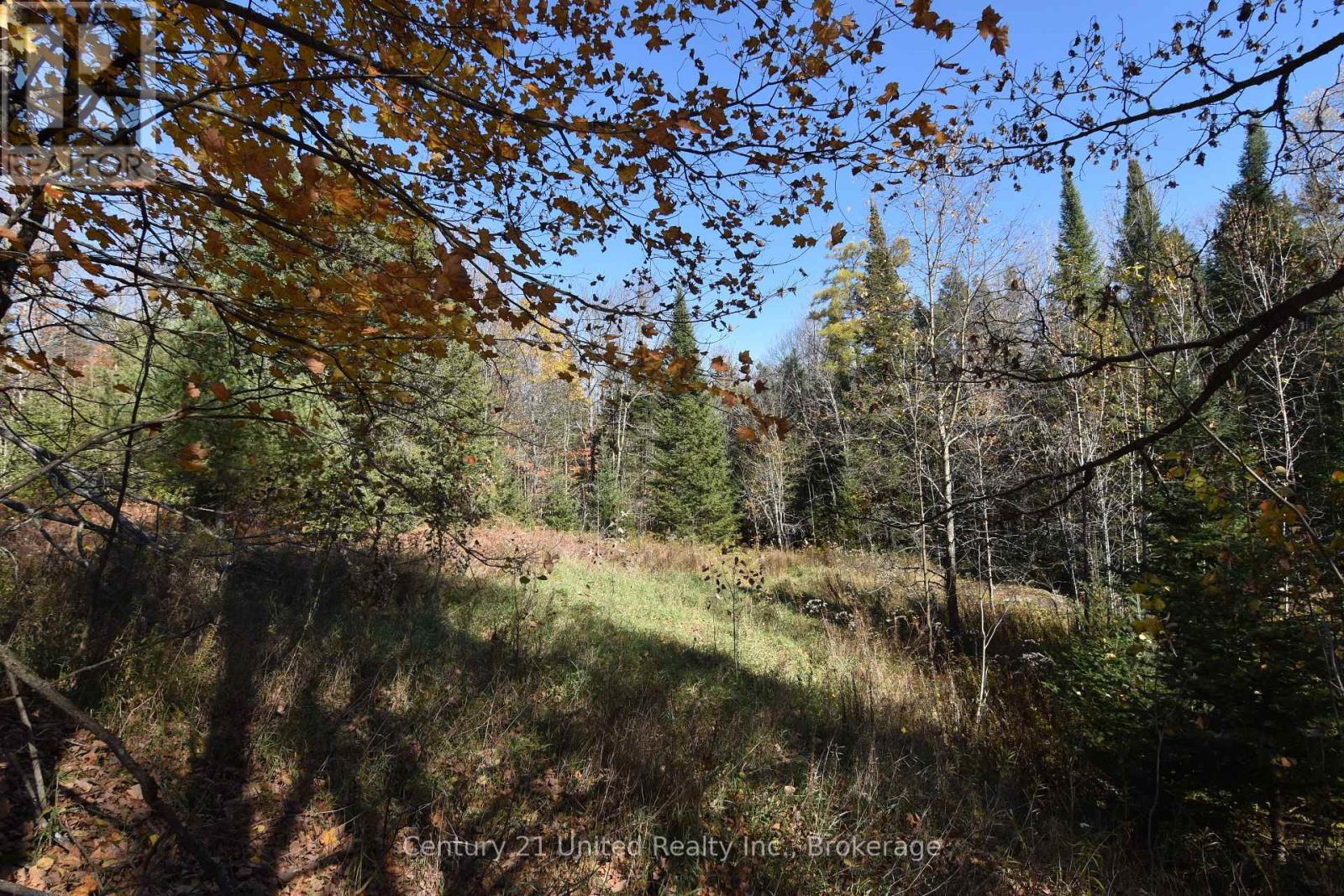 0 Highway 620, Wollaston, Ontario  K0L 1A0 - Photo 5 - X14099810