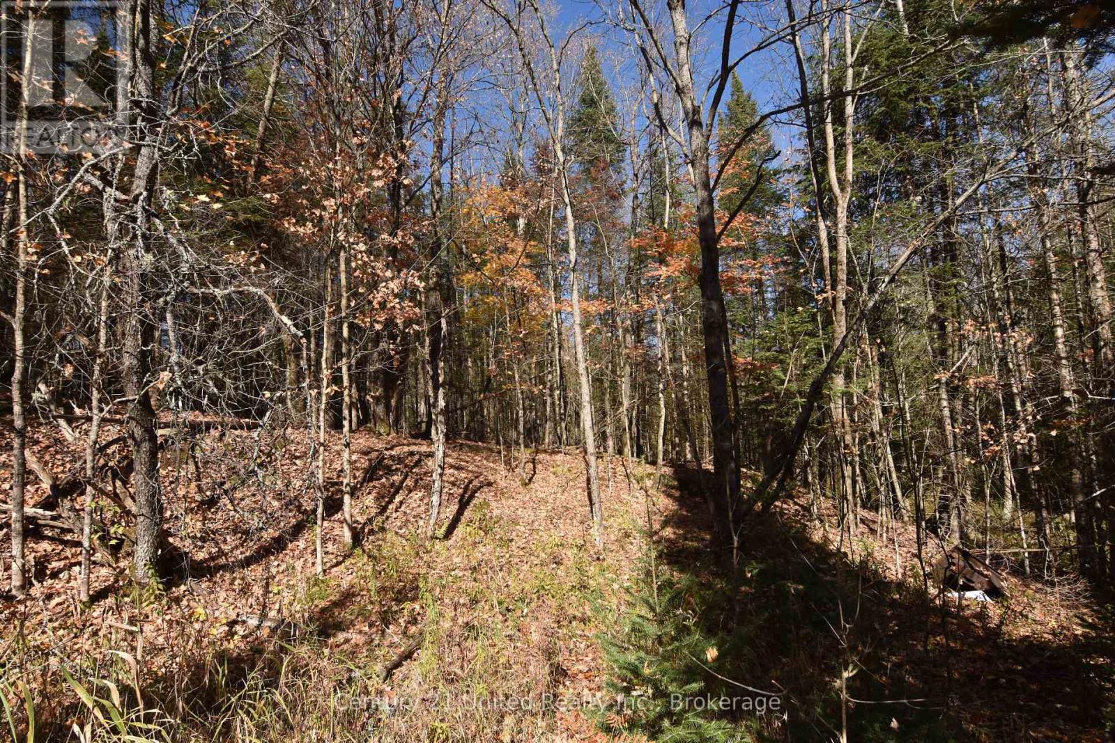 0 Highway 620, Wollaston, Ontario  K0L 1A0 - Photo 7 - X14099810