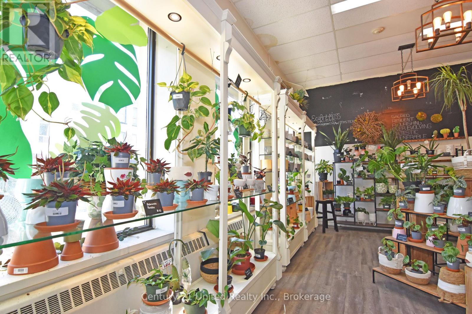 431 George Street N, Peterborough (Town Ward 3), Ontario  K9H 3R4 - Photo 5 - X14102224