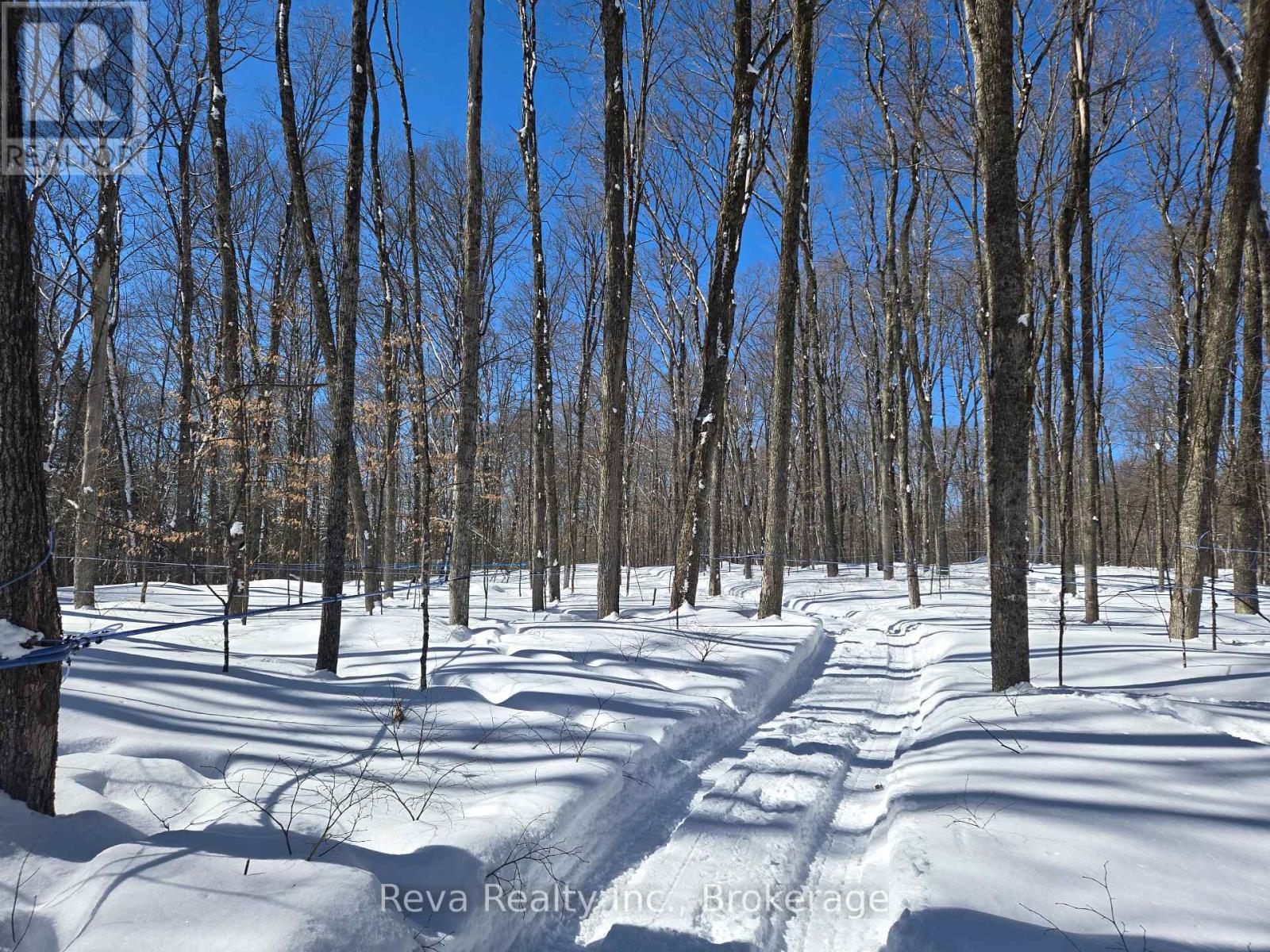 89 Stewart Road, Bancroft (Dungannon Ward), Ontario  K0L 2L0 - Photo 4 - X14102236