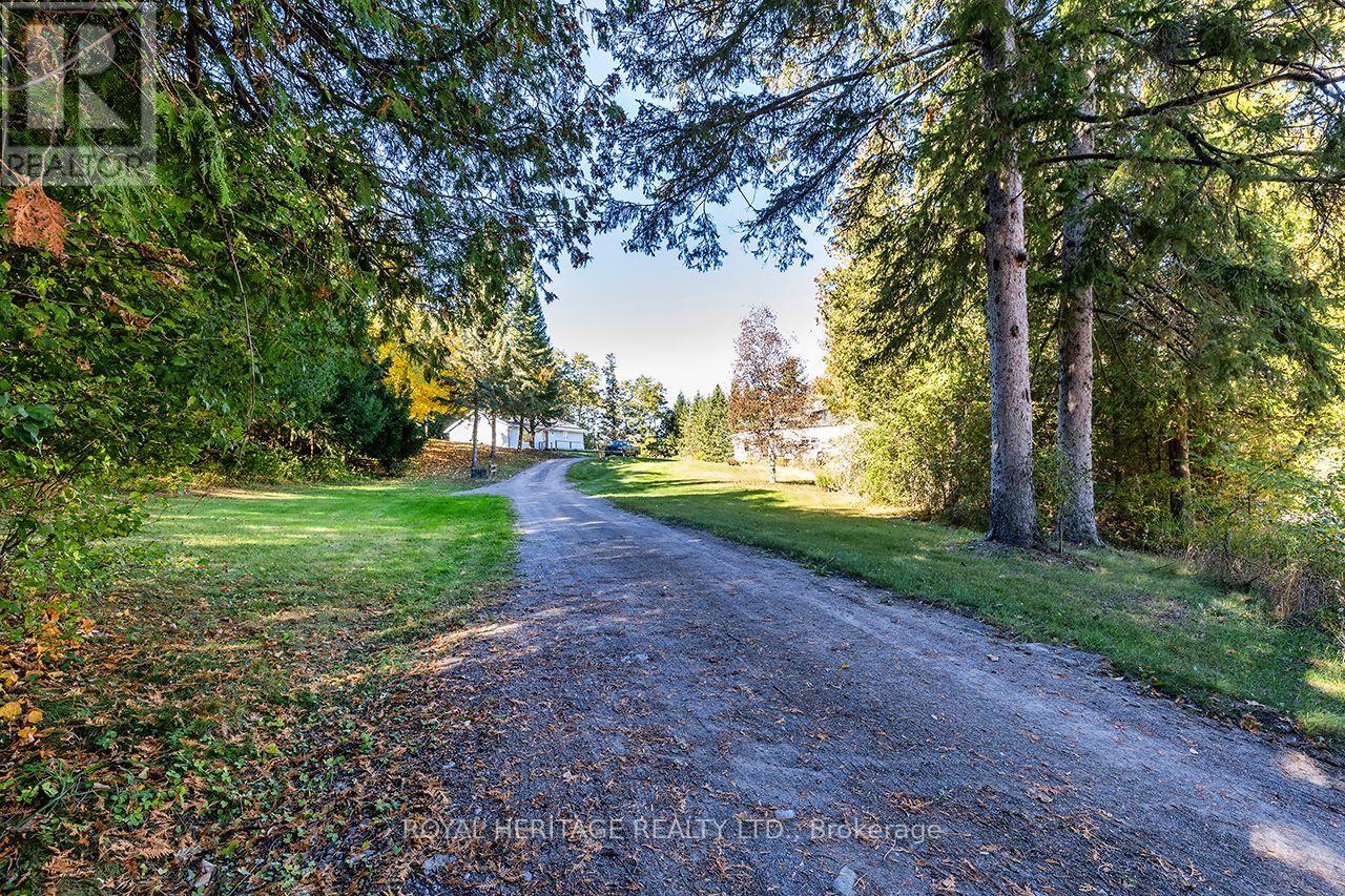 A & B - 4866 Sackville Bridge Road, Hamilton Township, Ontario  K0L 1E0 - Photo 4 - X14104574