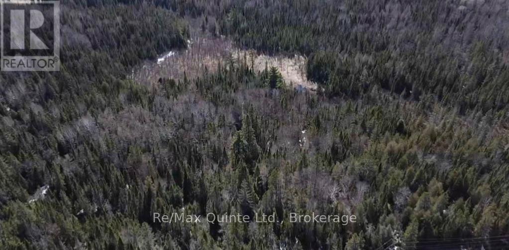 0 Highway 62, Hastings Highlands (Herschel Ward), Ontario  K0L 1S0 - Photo 2 - X14109846