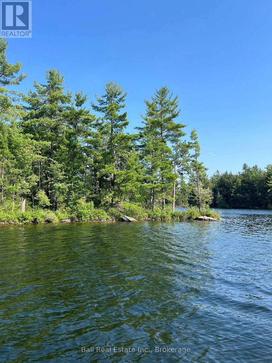 0 Long Lake Wao, Havelock-Belmont-Methuen, Ontario  K0L 1Z0 - Photo 7 - X14110714