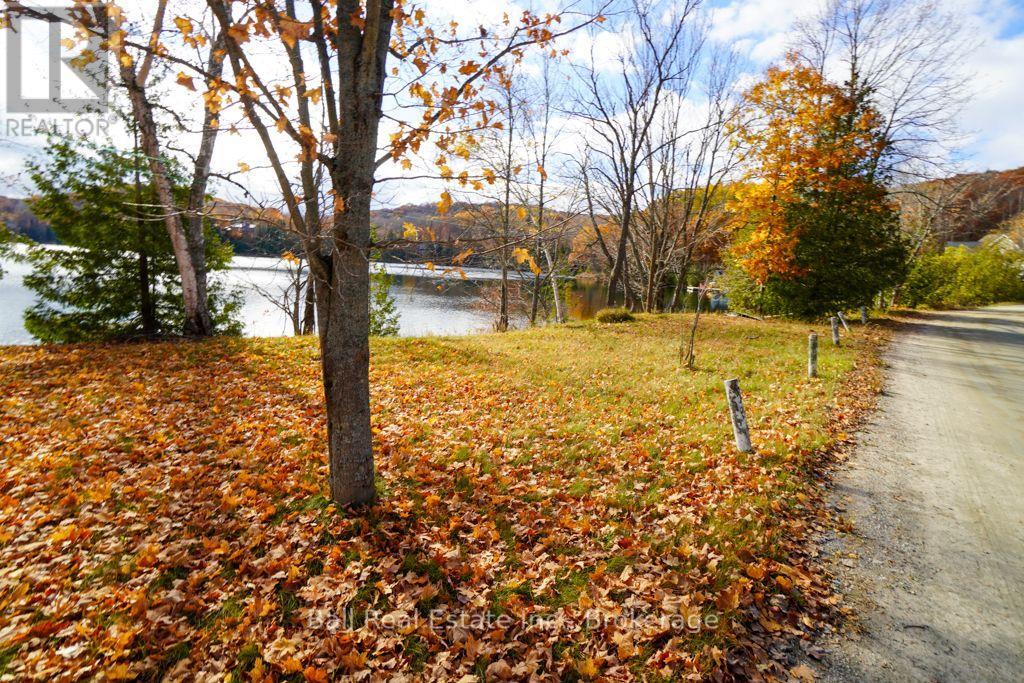 233 Trout Lake Road, Faraday, Ontario  K0L 1C0 - Photo 19 - X14111184