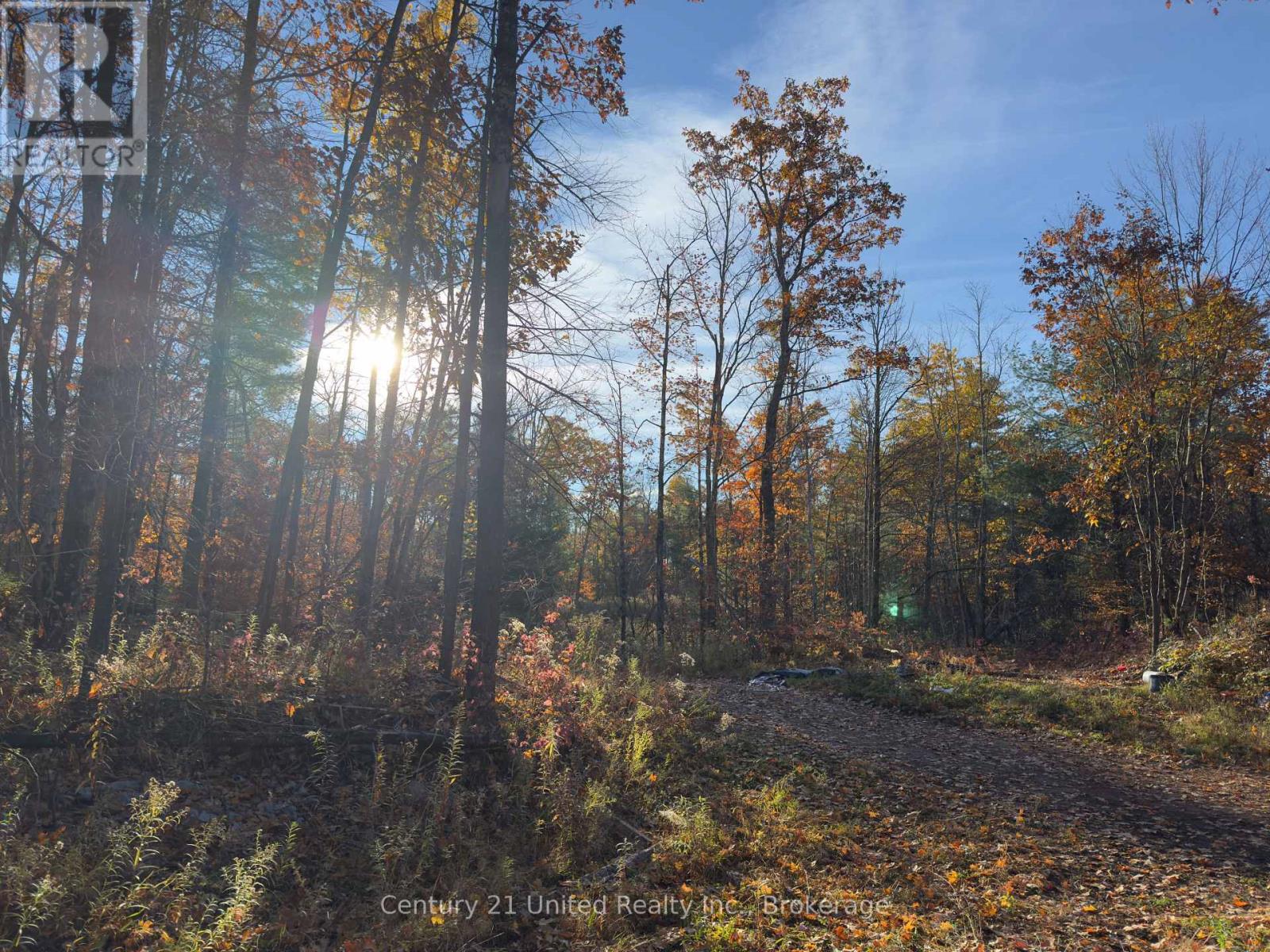 3337 County Rd 46, Havelock-Belmont-Methuen (Belmont-Methuen), Ontario  K0L 1Z0 - Photo 10 - X14112486