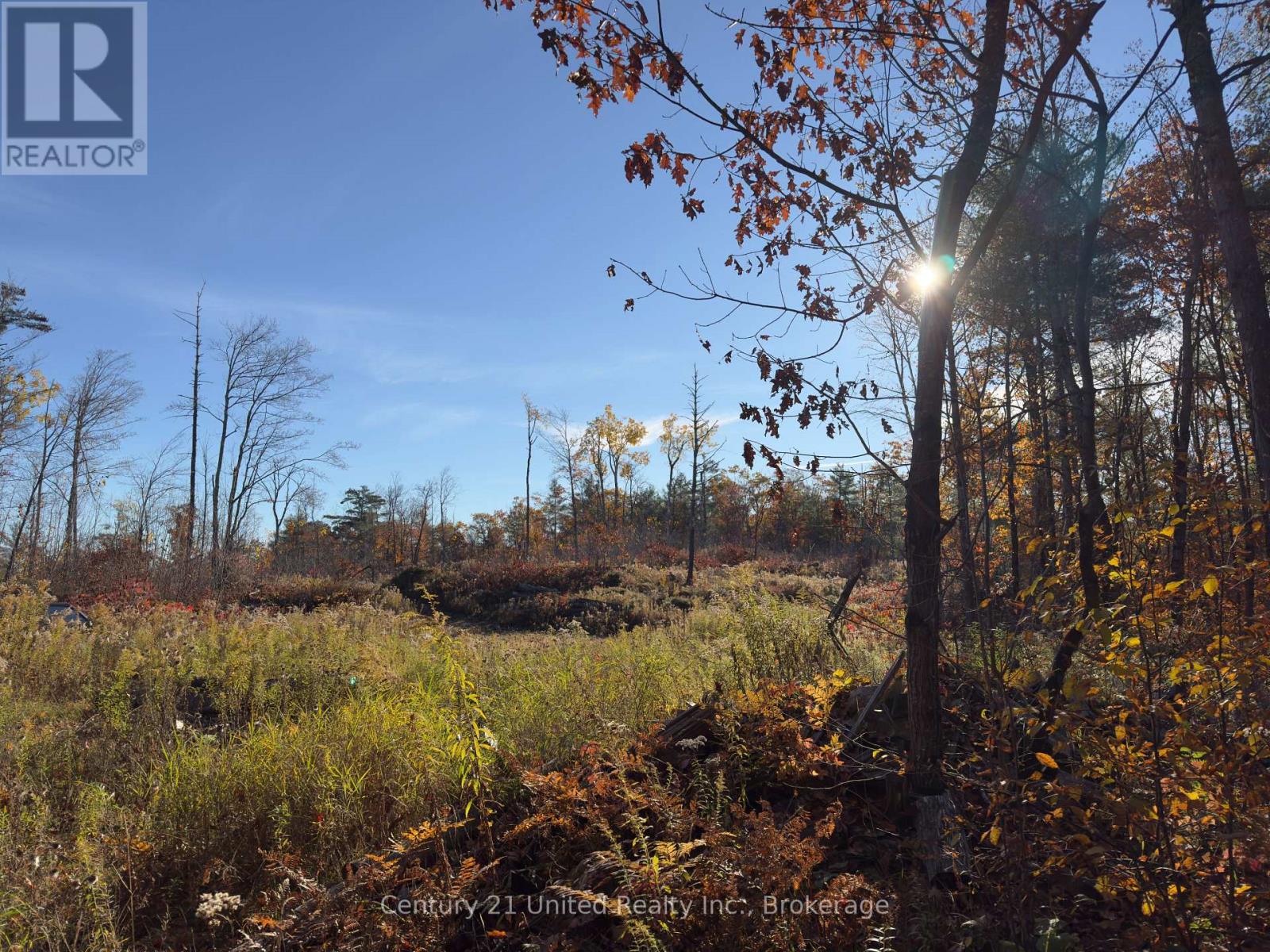 3337 County Rd 46, Havelock-Belmont-Methuen (Belmont-Methuen), Ontario  K0L 1Z0 - Photo 12 - X14112486