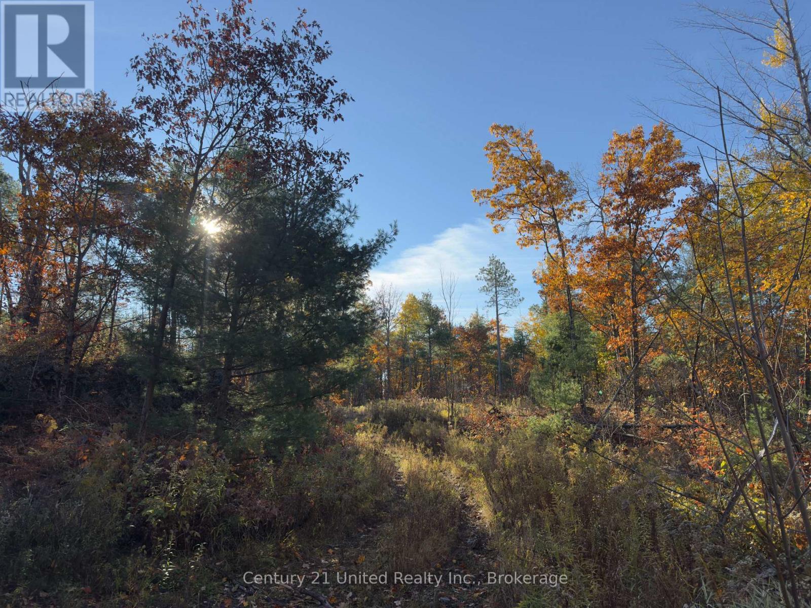 3337 County Rd 46, Havelock-Belmont-Methuen (Belmont-Methuen), Ontario  K0L 1Z0 - Photo 13 - X14112486