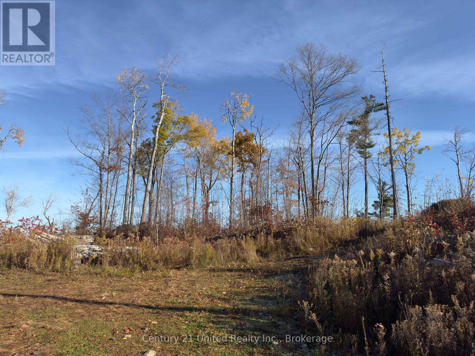 3337 County Rd 46, Havelock-Belmont-Methuen (Belmont-Methuen), Ontario  K0L 1Z0 - Photo 14 - X14112486