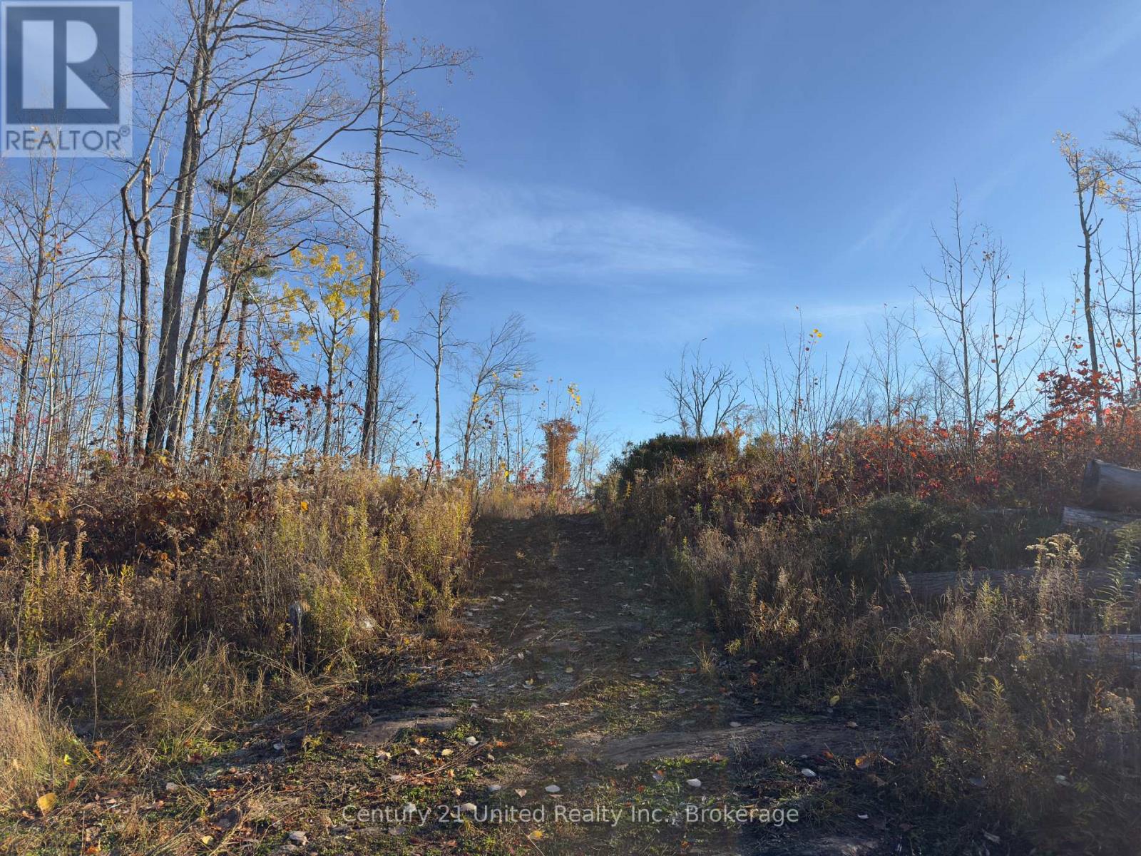 3337 County Rd 46, Havelock-Belmont-Methuen (Belmont-Methuen), Ontario  K0L 1Z0 - Photo 15 - X14112486