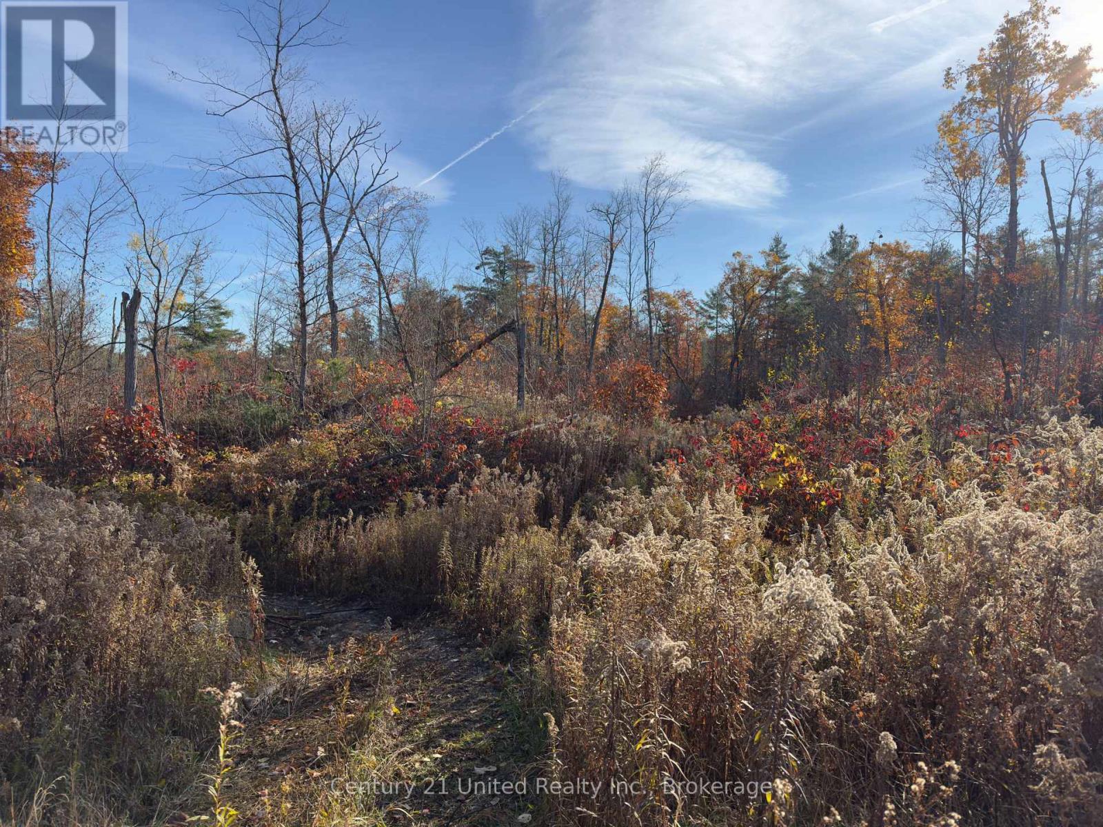 3337 County Rd 46, Havelock-Belmont-Methuen (Belmont-Methuen), Ontario  K0L 1Z0 - Photo 17 - X14112486