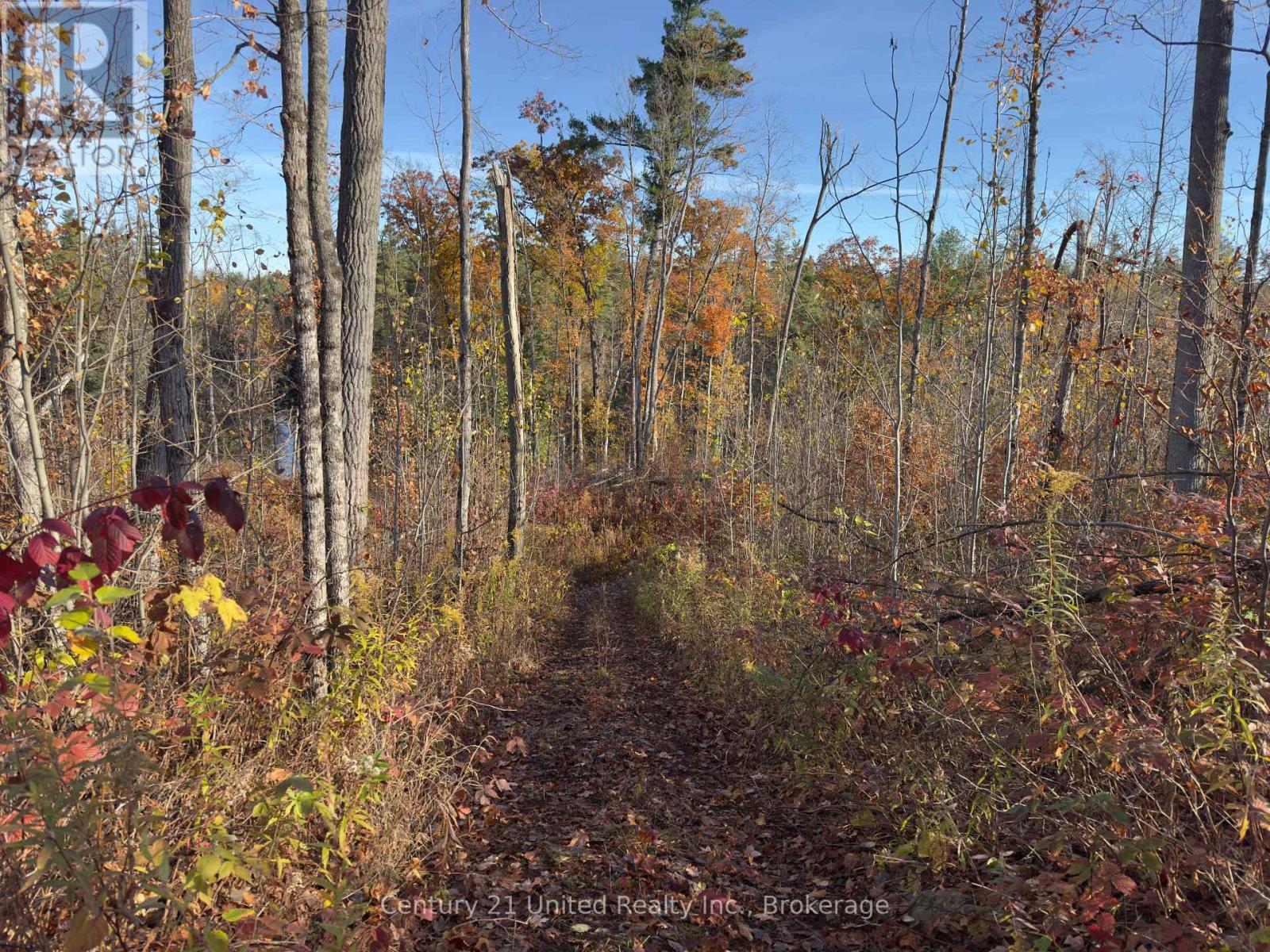 3337 County Rd 46, Havelock-Belmont-Methuen (Belmont-Methuen), Ontario  K0L 1Z0 - Photo 18 - X14112486