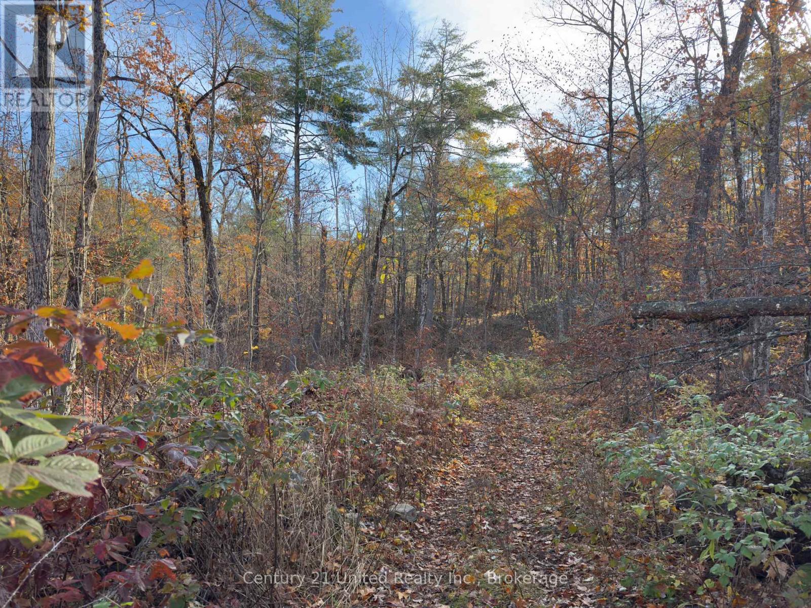 3337 County Rd 46, Havelock-Belmont-Methuen (Belmont-Methuen), Ontario  K0L 1Z0 - Photo 19 - X14112486
