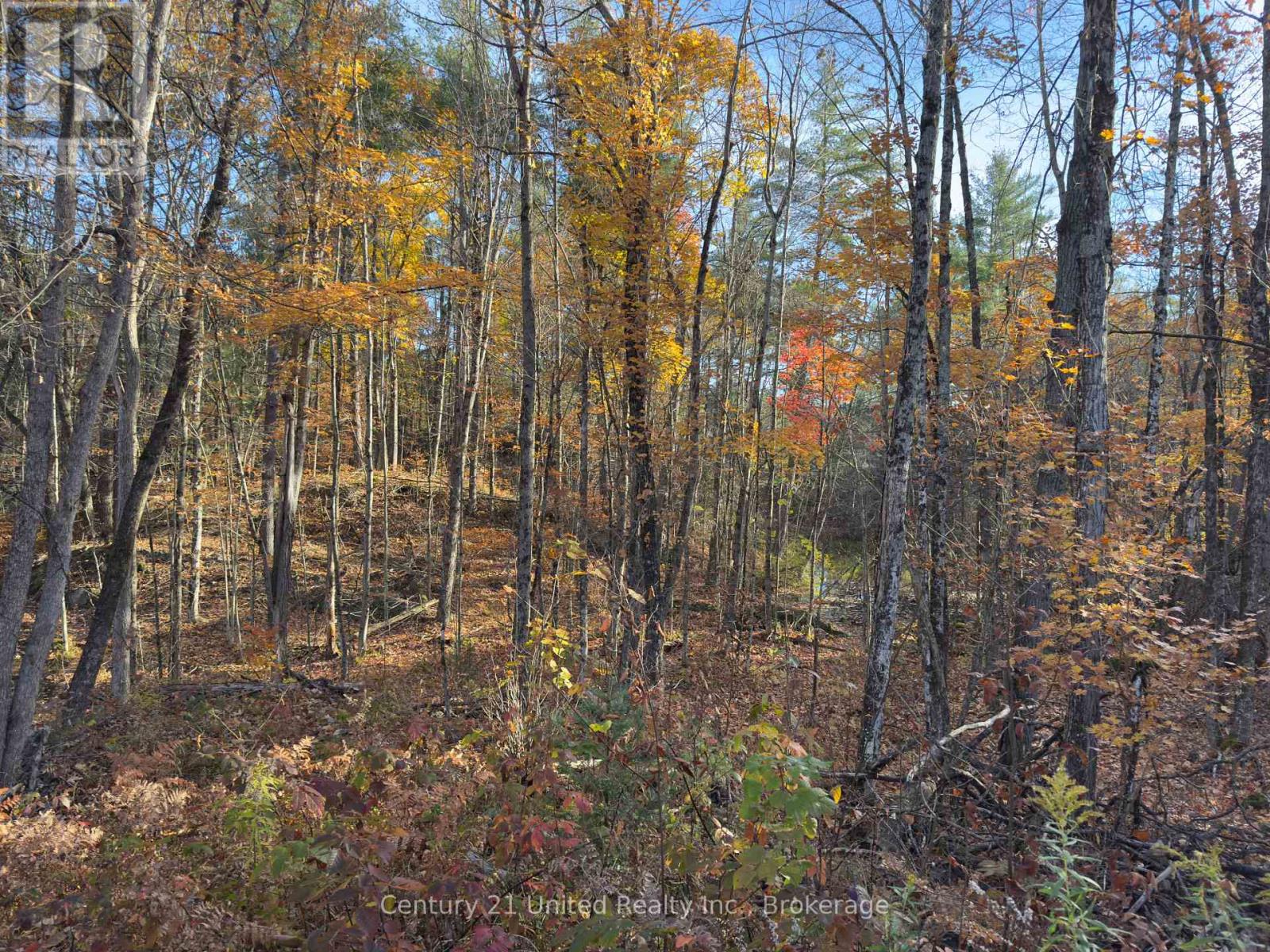 3337 County Rd 46, Havelock-Belmont-Methuen (Belmont-Methuen), Ontario  K0L 1Z0 - Photo 20 - X14112486