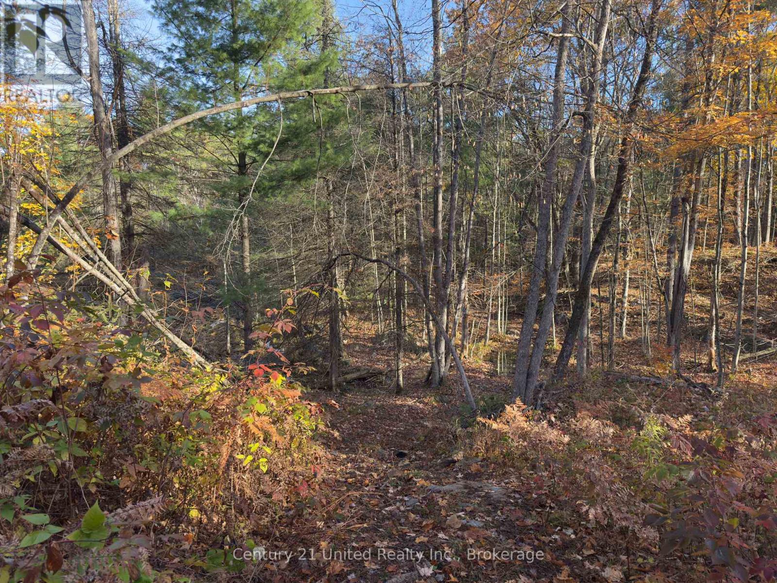 3337 County Rd 46, Havelock-Belmont-Methuen (Belmont-Methuen), Ontario  K0L 1Z0 - Photo 21 - X14112486