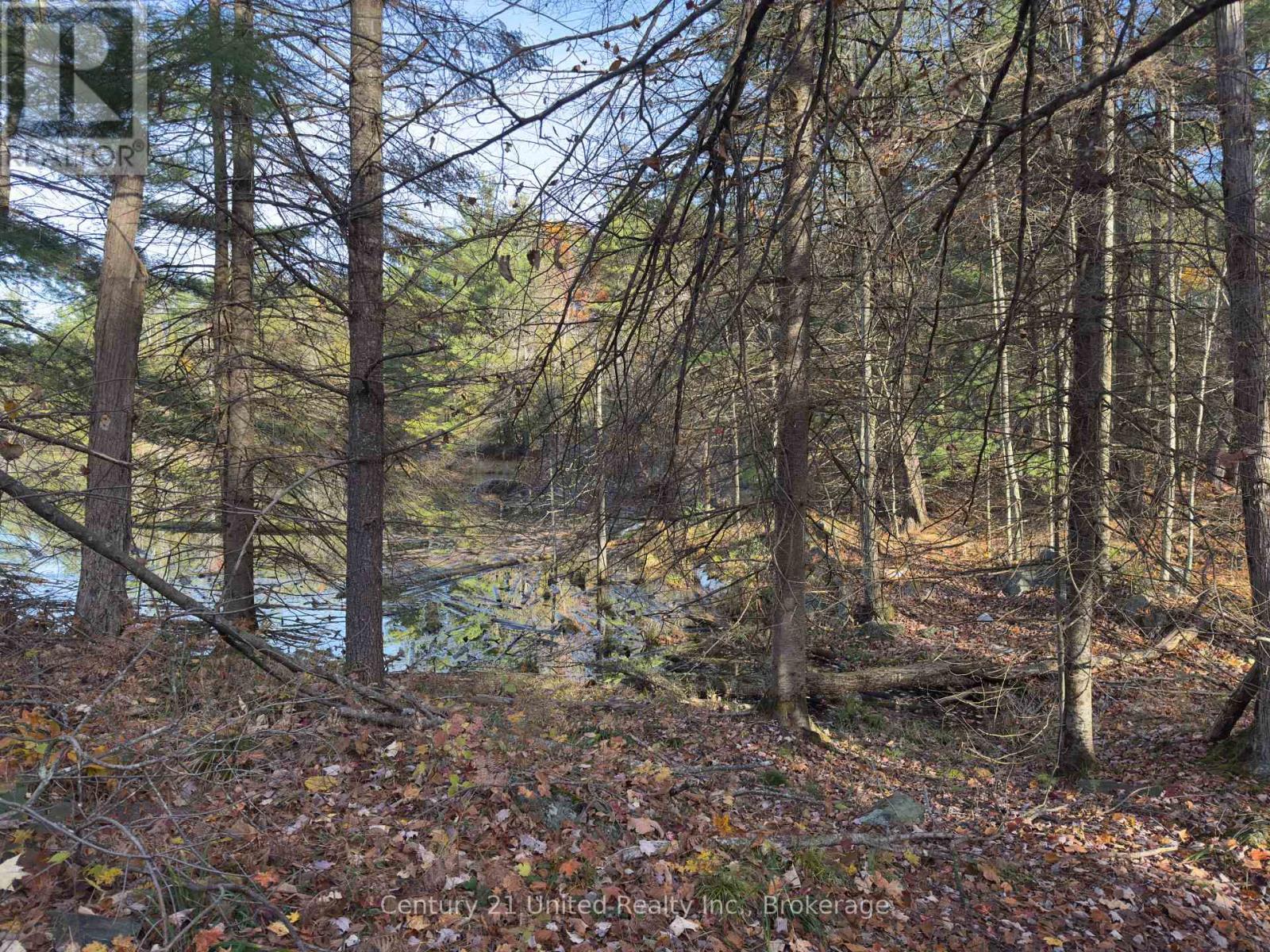 3337 County Rd 46, Havelock-Belmont-Methuen (Belmont-Methuen), Ontario  K0L 1Z0 - Photo 22 - X14112486