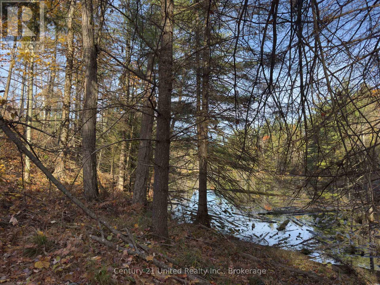 3337 County Rd 46, Havelock-Belmont-Methuen (Belmont-Methuen), Ontario  K0L 1Z0 - Photo 23 - X14112486