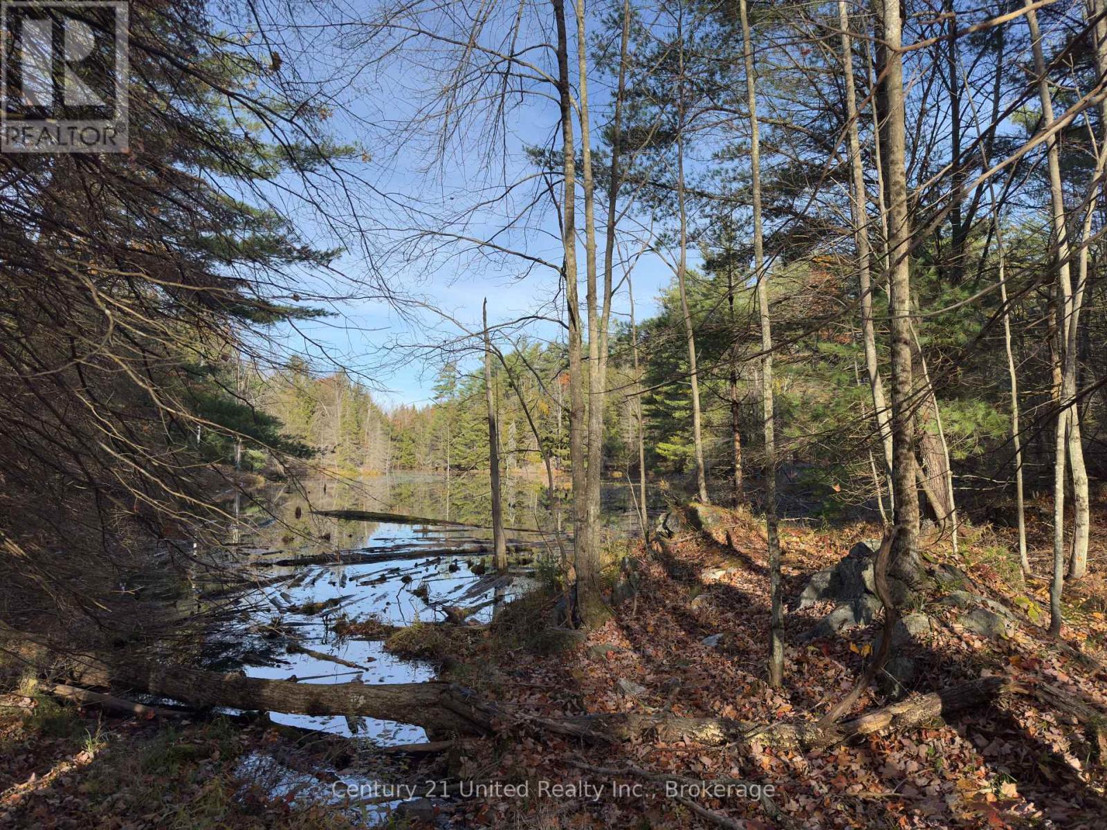 3337 County Rd 46, Havelock-Belmont-Methuen (Belmont-Methuen), Ontario  K0L 1Z0 - Photo 24 - X14112486