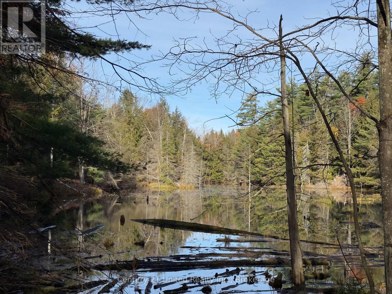 3337 County Rd 46, Havelock-Belmont-Methuen (Belmont-Methuen), Ontario  K0L 1Z0 - Photo 25 - X14112486