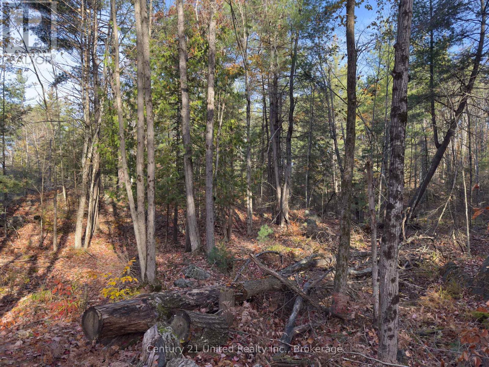 3337 County Rd 46, Havelock-Belmont-Methuen (Belmont-Methuen), Ontario  K0L 1Z0 - Photo 27 - X14112486