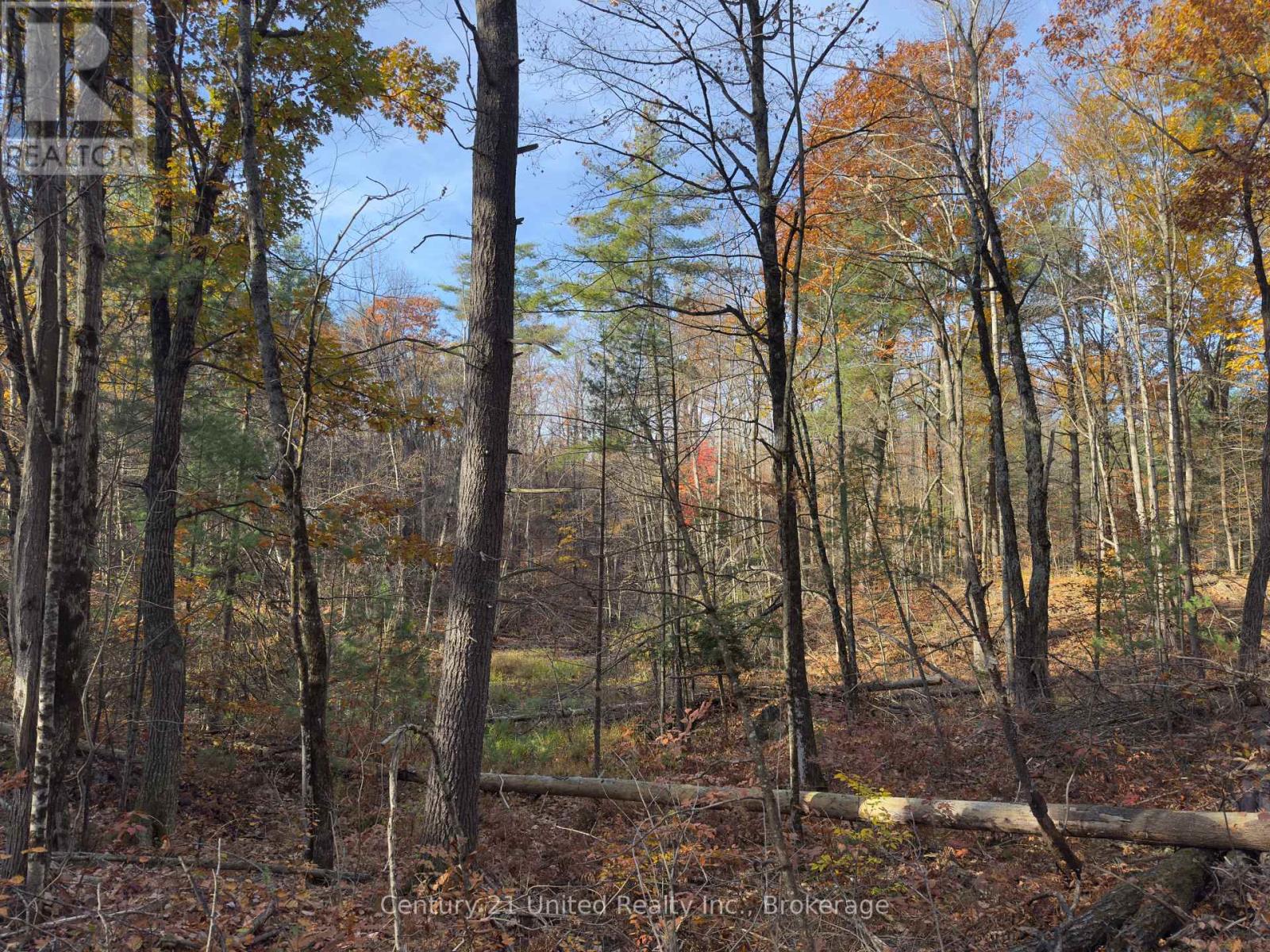 3337 County Rd 46, Havelock-Belmont-Methuen (Belmont-Methuen), Ontario  K0L 1Z0 - Photo 28 - X14112486